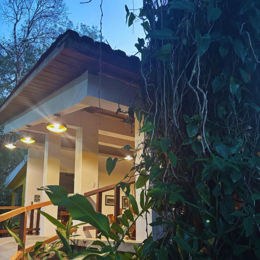 Hotel La Aldea Del Halach Huinic パレンケ エクステリア 写真