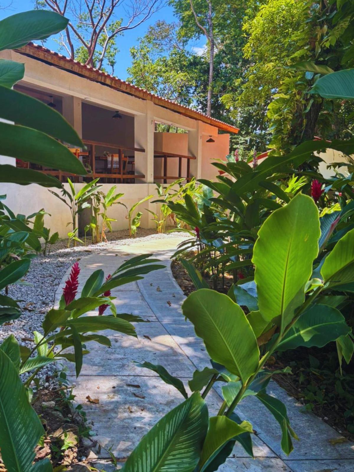Hotel La Aldea Del Halach Huinic パレンケ エクステリア 写真